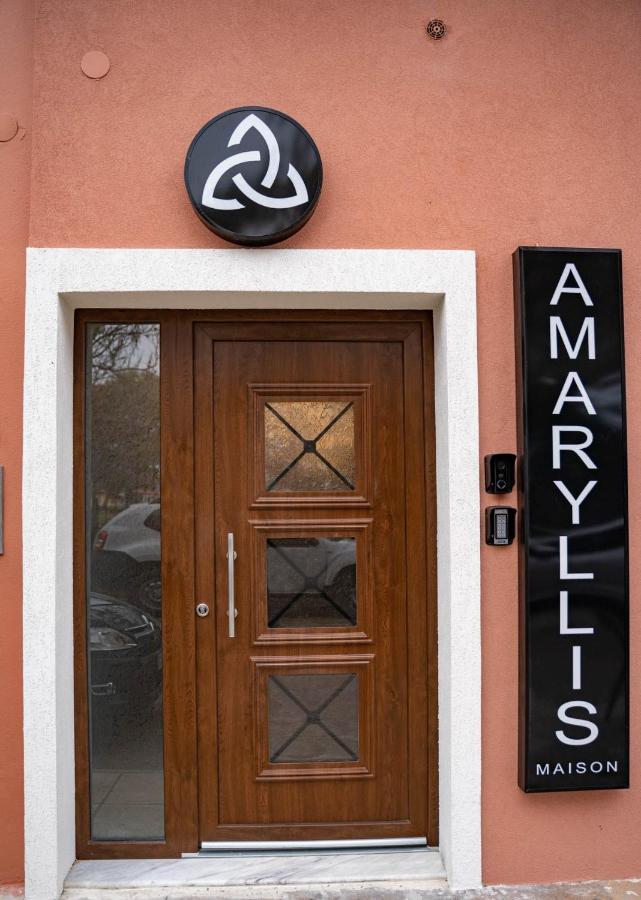 Amaryllis Maison Hili *